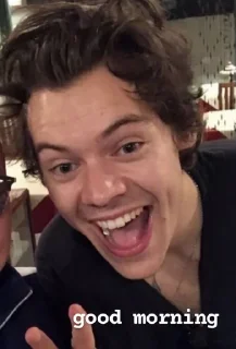 💋 emoji harry styles Telegram sticker 19 of 35