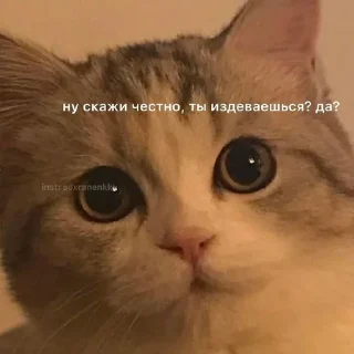 😠 emoji Стикеры?;) Telegram sticker 24 of 54