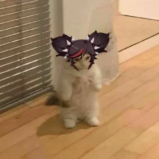 🌟 emoji Я люблю Синь Янь!!! 🎸🔥 Telegram sticker 9 of 15