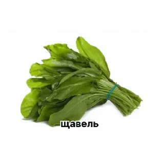 Sticker from За 5$ Мне СОСИ СОСИ Сделаешь?