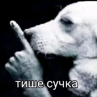 🚩 emoji наномиса Telegram sticker 10 of 80