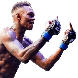 🖕 emoji MMA Telegram sticker 10 of 75