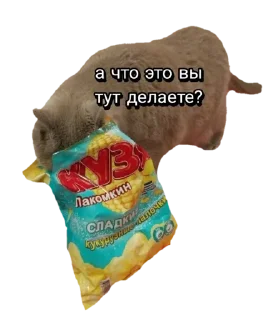 👀 emoji Лола [@stickB00K] Telegram sticker 16 of 43