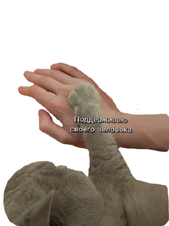 🫶 emoji Лола [@stickB00K] Telegram sticker 10 of 43