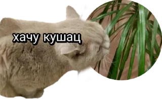 😋 emoji Лола [@stickB00K] Telegram sticker 17 of 43