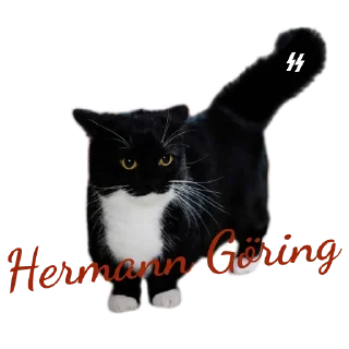 🐱 emoji Aryan cats Telegram sticker 10 of 51