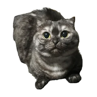 🐱 emoji Aryan cats Telegram sticker 7 of 51