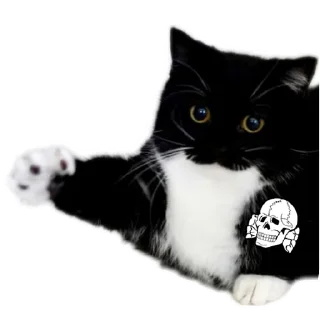 🐱 emoji Aryan cats Telegram sticker 9 of 51
