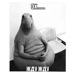 ✋ emoji Алкаши Telegram sticker 14 of 45