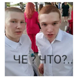 😳 emoji Алкаши Telegram sticker 17 of 26