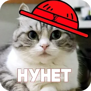 Sticker from Пираты > @ChatPirates1007