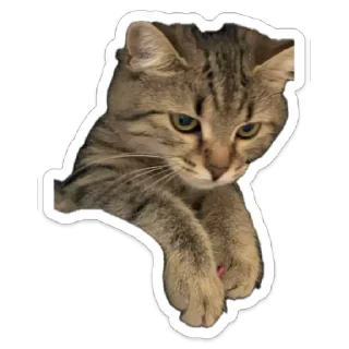 👹 emoji llrissa Telegram sticker 8 of 59