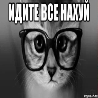 🤠 emoji зачем Telegram sticker 17 of 30