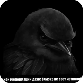 🐦 emoji Чёрные птички Telegram sticker 22 of 90