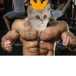 😎 emoji Это не лютик... Telegram sticker 8 of 14