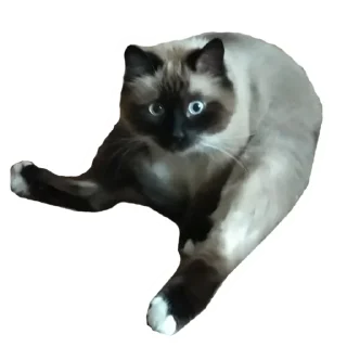 Sticker from лютик