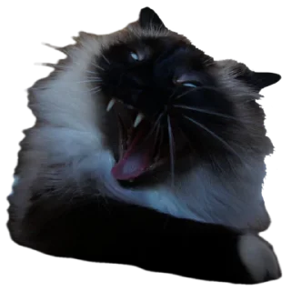 🐍 emoji лютик Telegram sticker 22 of 35