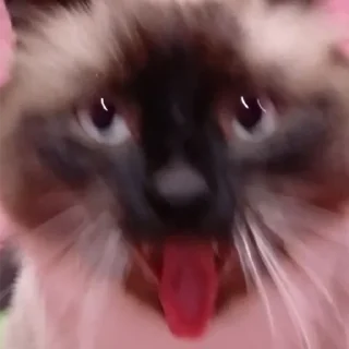 🤪 emoji лютик Telegram sticker 8 of 35