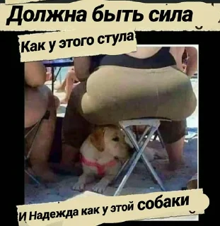 Sticker from Бред асексуала