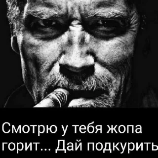 🚬 emoji Бред асексуала Telegram sticker 5 of 118