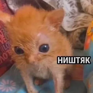 🙂 emoji стикеры от маши Telegram sticker 14 of 78