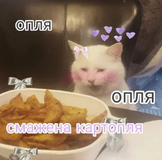 🥔 emoji кітулі від хорі №2 Telegram sticker 20 of 51