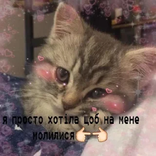 ☺️ emoji кітулі від хорі №2 Telegram sticker 21 of 51