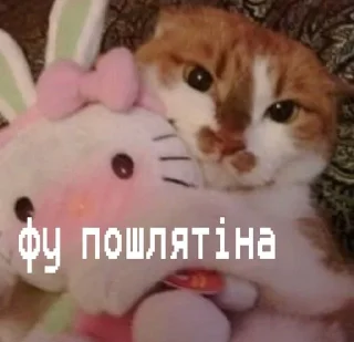 😳 emoji кітулі від хорі №2 Telegram sticker 22 of 51