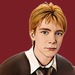 😏 emoji Уизли Фред и Джордж @stickers_HarryPotter Telegram sticker 22 of 31