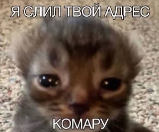 Sticker from Невдупленыши