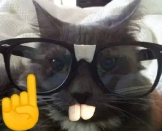 🤓 emoji ТА ПІШОИИ ВИВОІЛІ ІДІДВЛВДІЖБВ Telegram sticker 18 of 57