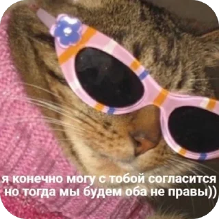 🫥 emoji Котики на все случаи Telegram sticker 16 of 120