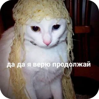 🫥 emoji Котики на все случаи Telegram sticker 20 of 120