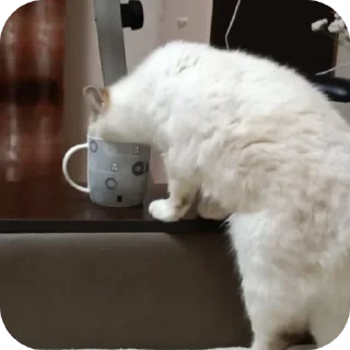 🐱 emoji Крутая Белочка /@akyrkaa Telegram sticker 20 of 102