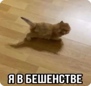 😡 emoji Łączenie niepołączonych :: tos Telegram sticker 19 of 46
