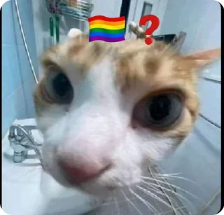 ❓ emoji Łączenie niepołączonych :: tos Telegram sticker 23 of 46
