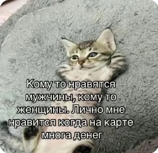 🤑 emoji Łączenie niepołączonych :: tos Telegram sticker 8 of 46