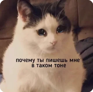 😢 emoji Łączenie niepołączonych :: tos Telegram sticker 5 of 46