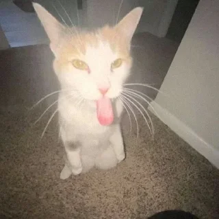 😝 emoji слушай а ты случайно не Telegram sticker 12 of 22
