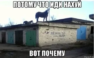 🐴 emoji слушай а ты случайно не Telegram sticker 20 of 22