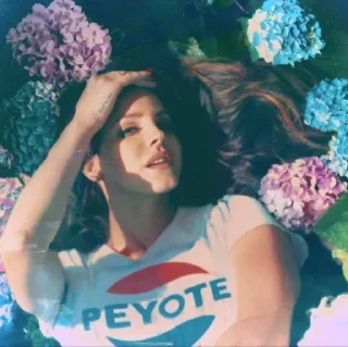 🌟 emoji Lana del rey Telegram sticker 11 of 66