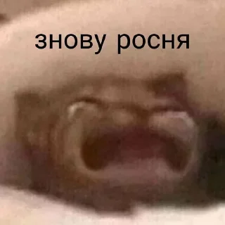 😭 emoji Збірна солянка (V-11.0) Telegram sticker 20 of 120