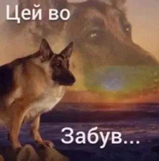 Sticker from ЧВК Впопінс @penitent_memes