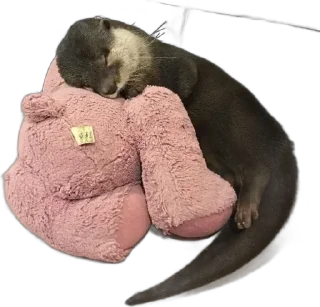 😴 emoji otters by gravi Telegram sticker 12 of 16
