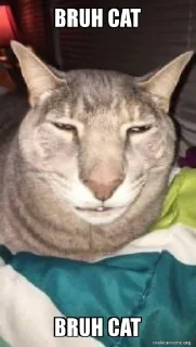 😽 emoji Bruh Moment Telegram sticker 18 of 69