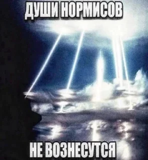 🌟 emoji Срань господня Telegram sticker 6 of 119