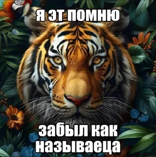 🌟 emoji Срань господня Telegram sticker 12 of 119