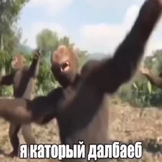 🌟 emoji Срань господня Telegram sticker 21 of 119