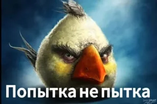 🌟 emoji Срань господня Telegram sticker 23 of 119