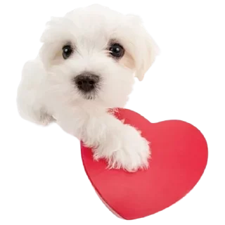 ❤️ emoji ∞︎ @stickersff ∞ Telegram sticker 24 of 91
